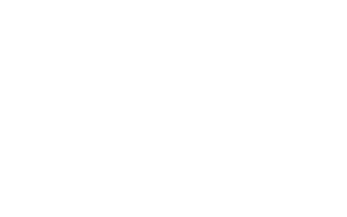 lmi-vasaka-logo (5)